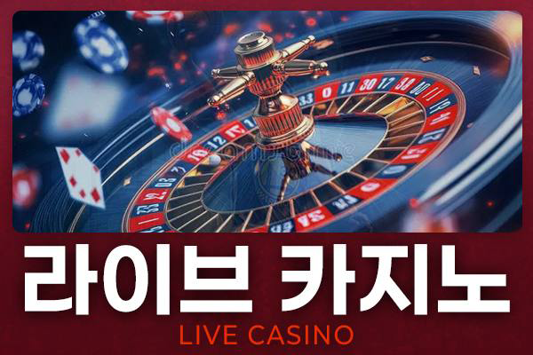 라이브 카지노